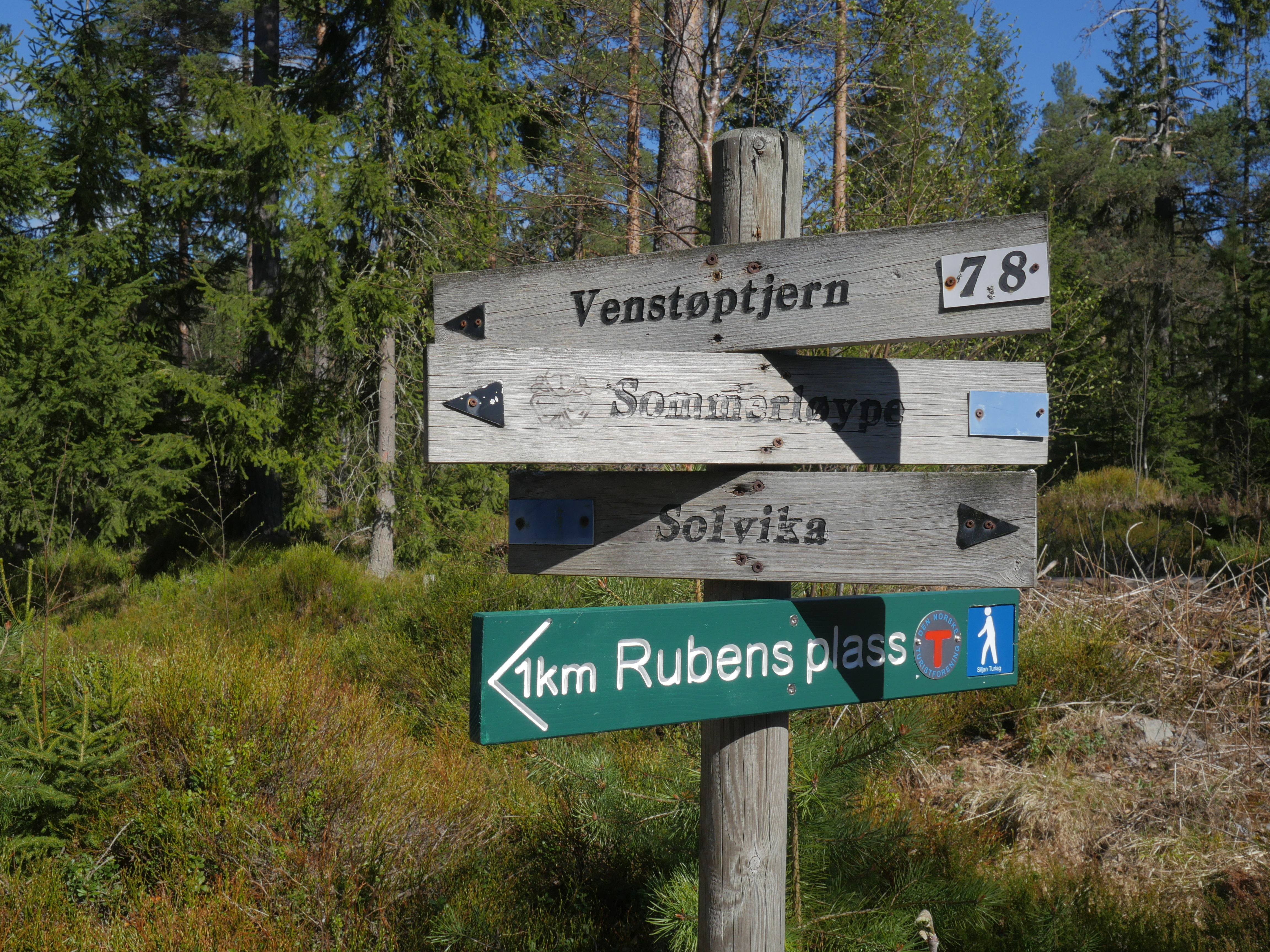 Rubens plass er en kilometers spasertur langs Galtetjønnveien fra parkeringsplassen i Solvika. (Foto: Rune Myrland)